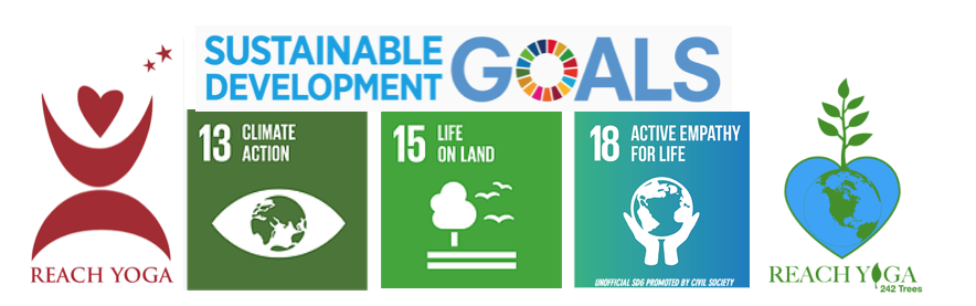 sustainable development goals 